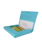 کیف مدارک کش دار مات papco
